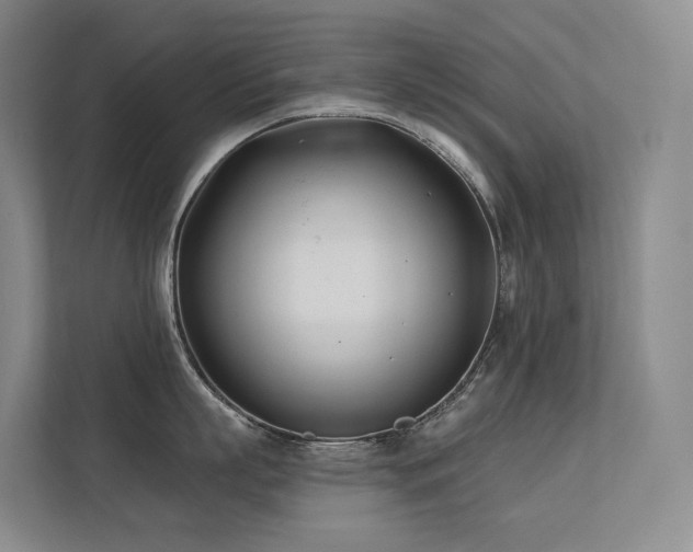 X0000113200863200909101110