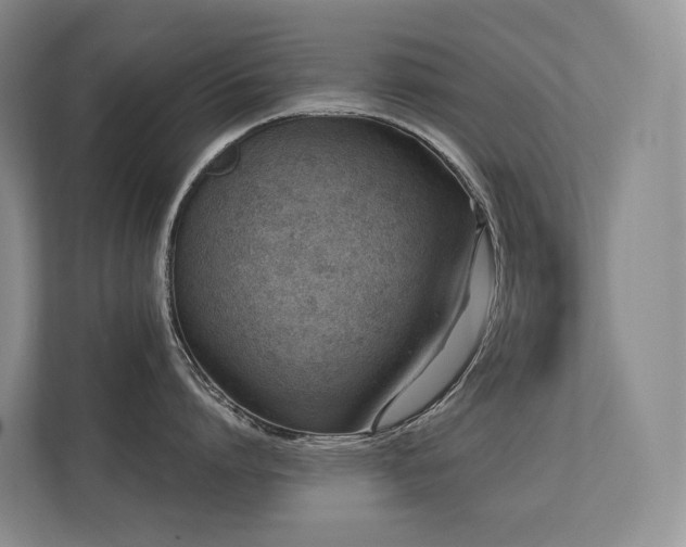 X0000113200864200909101110