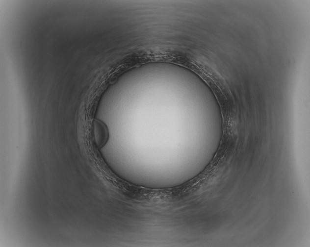 X0000113200865200909101110