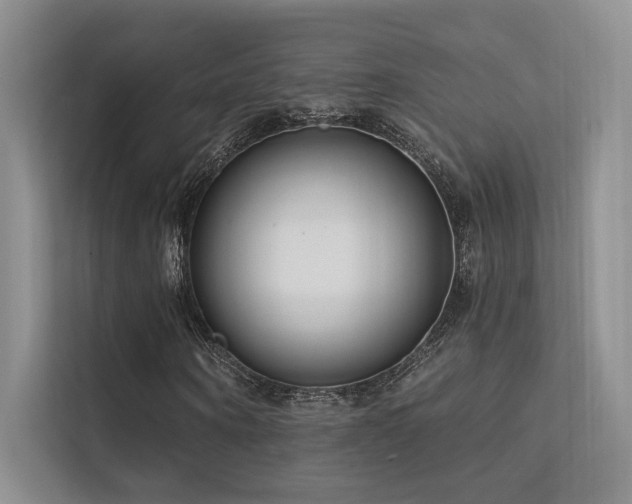 X0000113200866200909101110