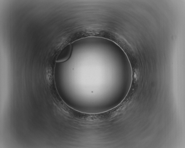 X0000113200867200909101110