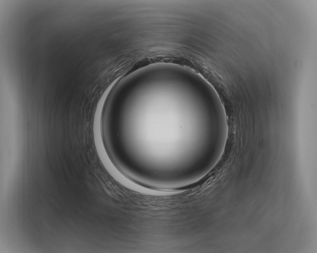 X0000113200868200909101110