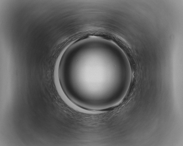 X0000113200869200909101110