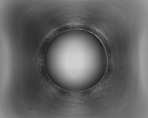 X0000113200870200909101110