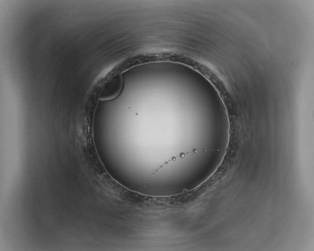 X0000113200871200909101110