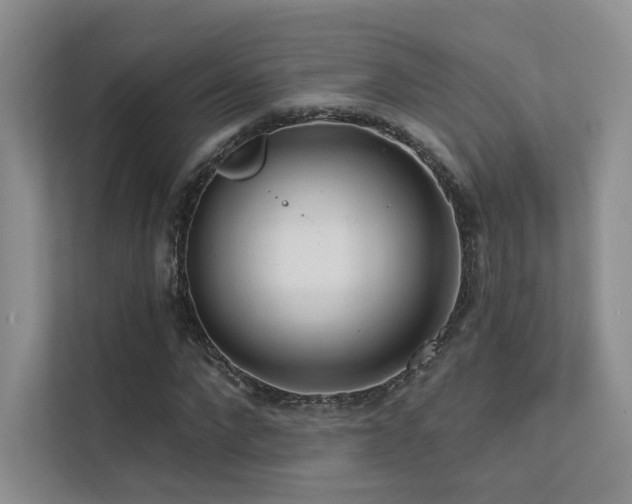 X0000113200872200909101110