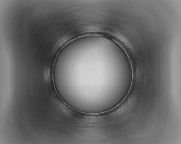 X0000113200873200909101110