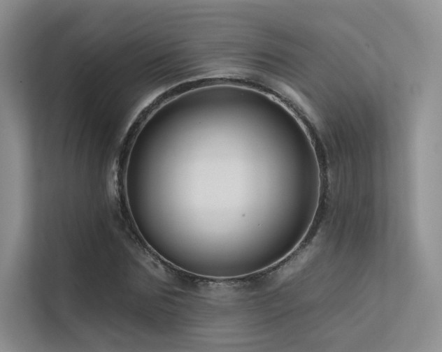 X0000113200875200909101110