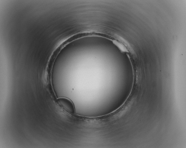 X0000113200876200909101110