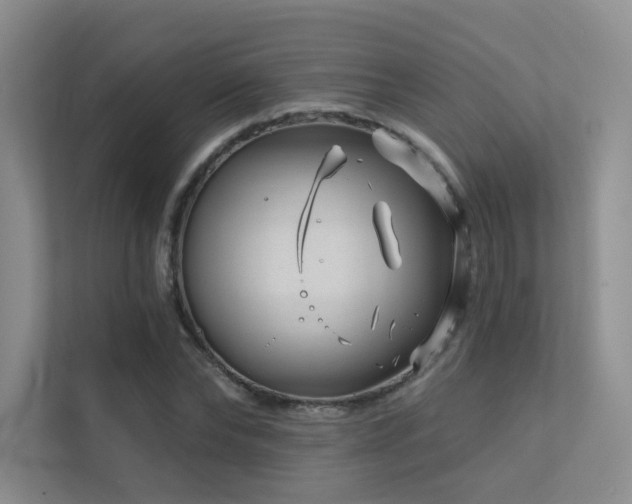 X0000113200878200909101110