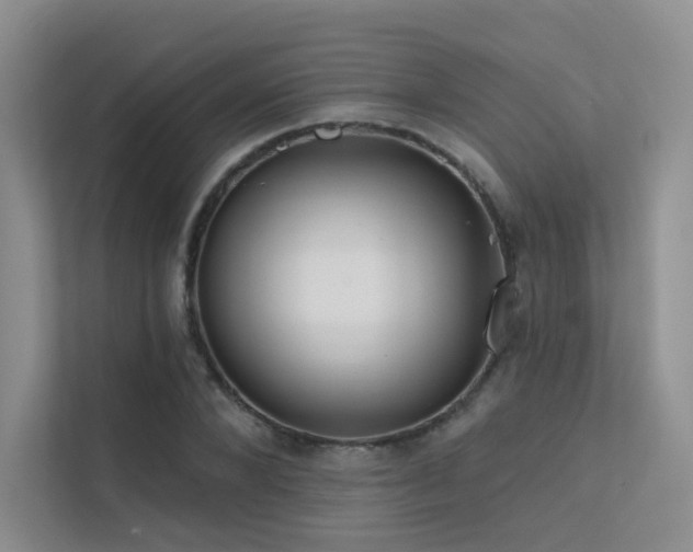 X0000113200880200909101110