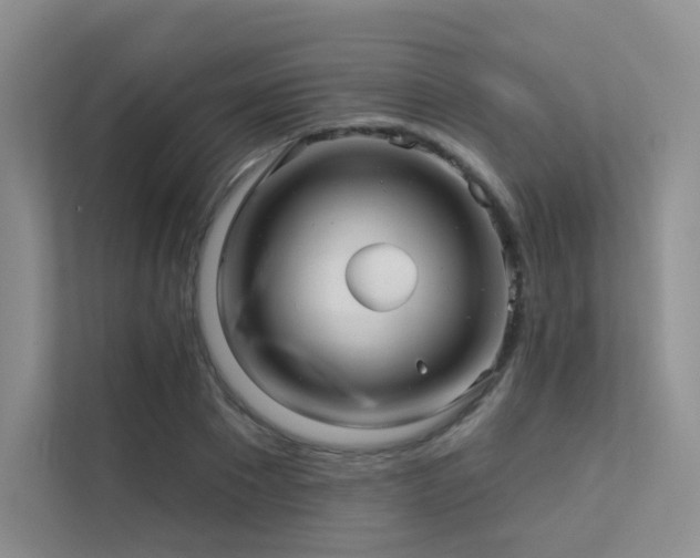 X0000113200881200909101110