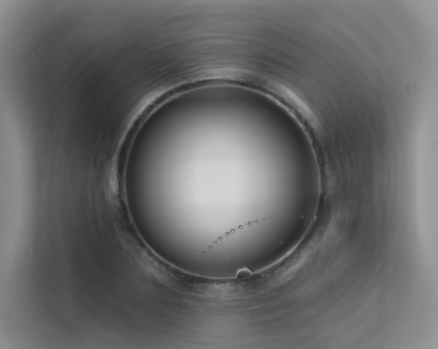 X0000113200883200909101110