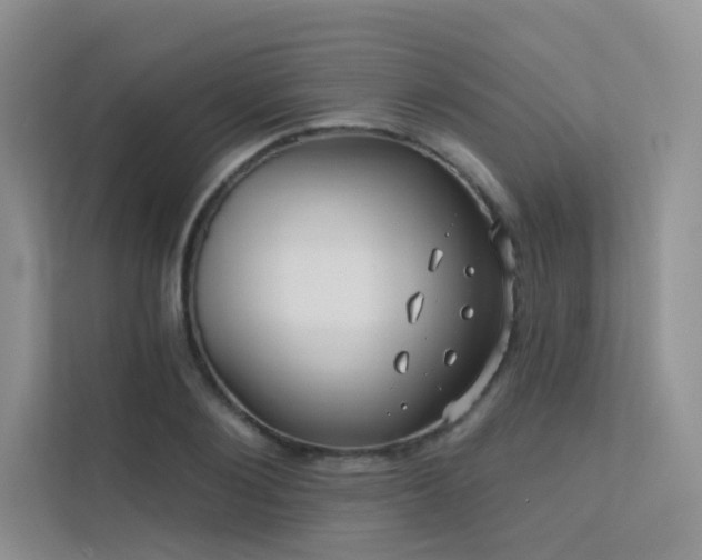 X0000113200884200909101110