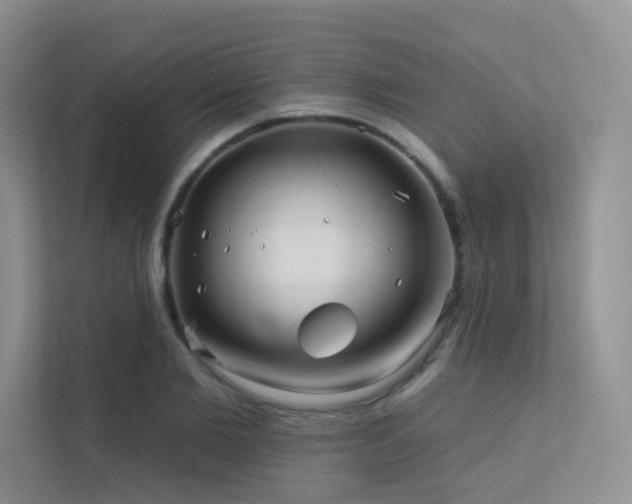 X0000113200885200909101110