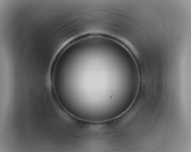 X0000113200887200909101110