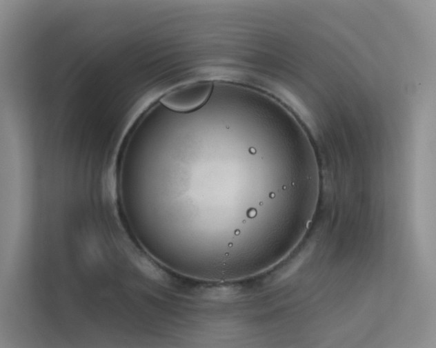 X0000113200891200909101109