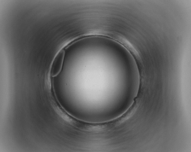 X0000113200892200909101109