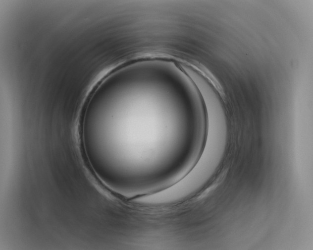 X0000113200893200909101109