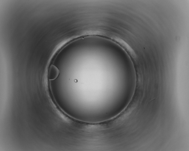 X0000113200894200909101109