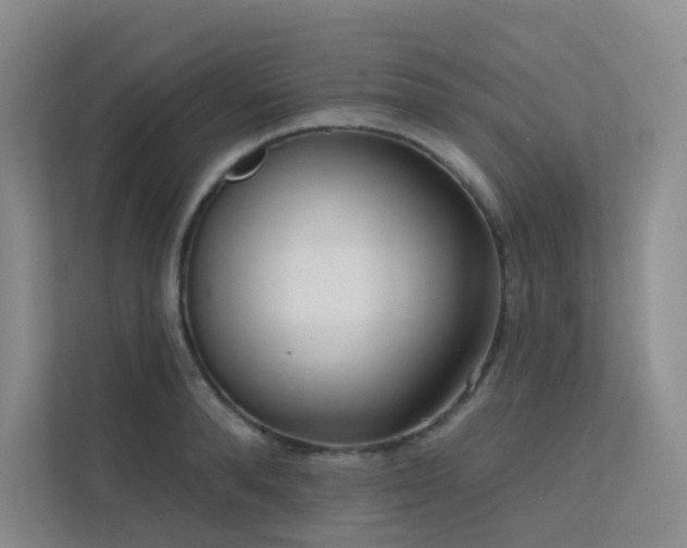 X0000113200896200909101109