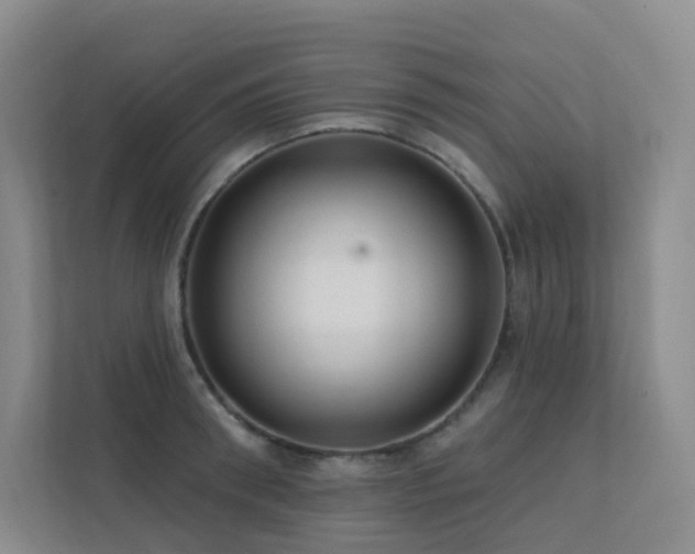 X0000113200898200909101109