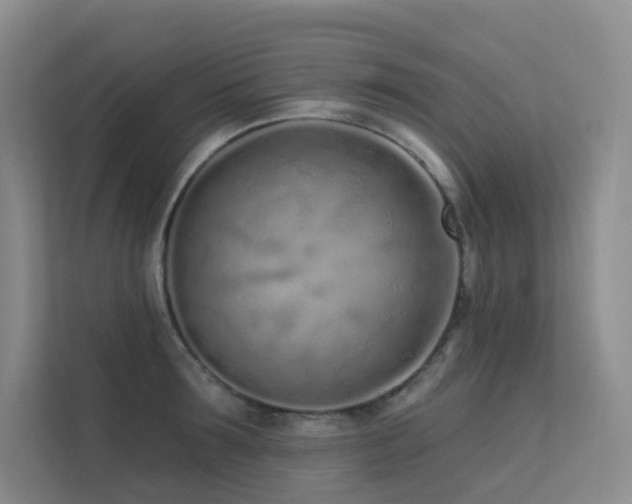 X0000113200899200909101109