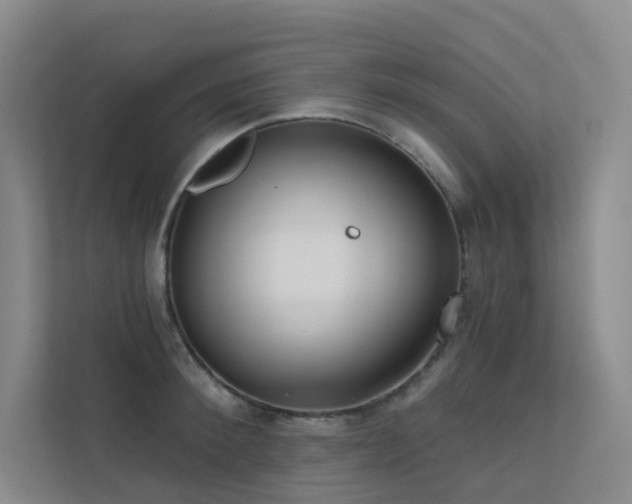 X0000113200900200909101109