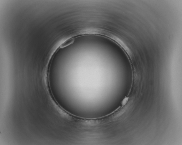 X0000113200901200909101109