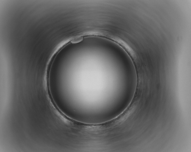 X0000113200902200909101109