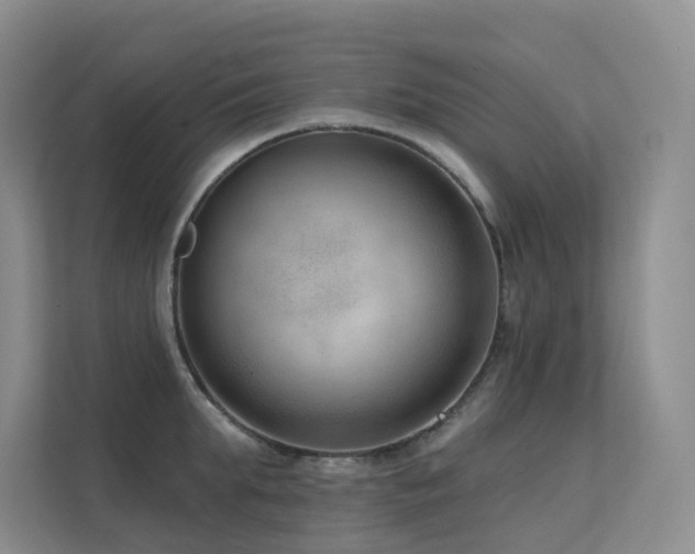 X0000113200903200909101109