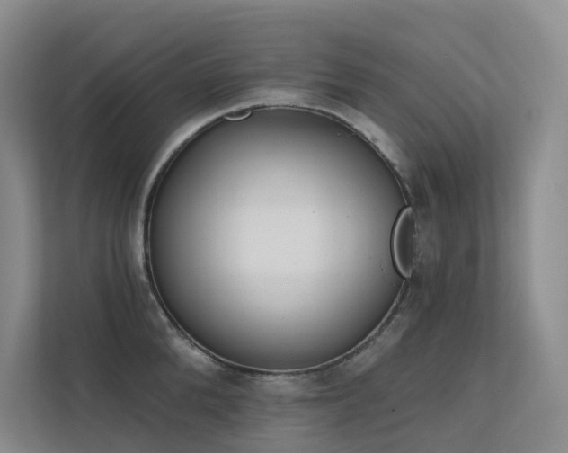 X0000113200904200909101109