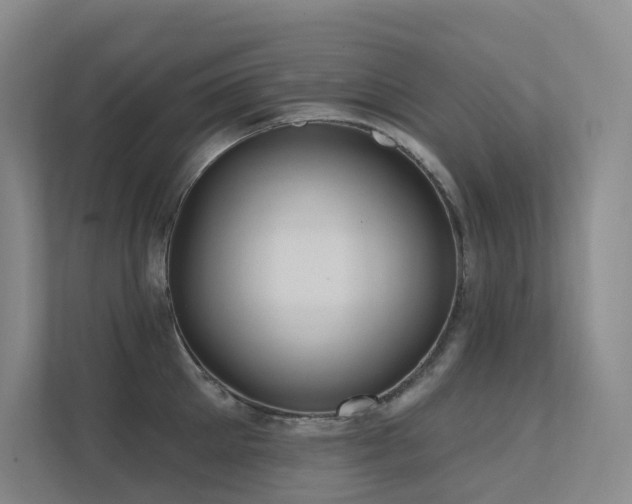 X0000113200905200909101109