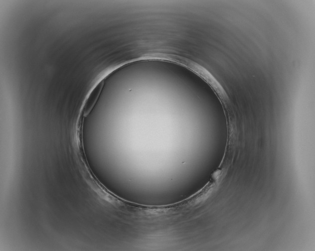 X0000113200908200909101109