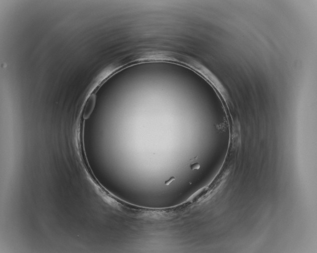 X0000113200909200909101109