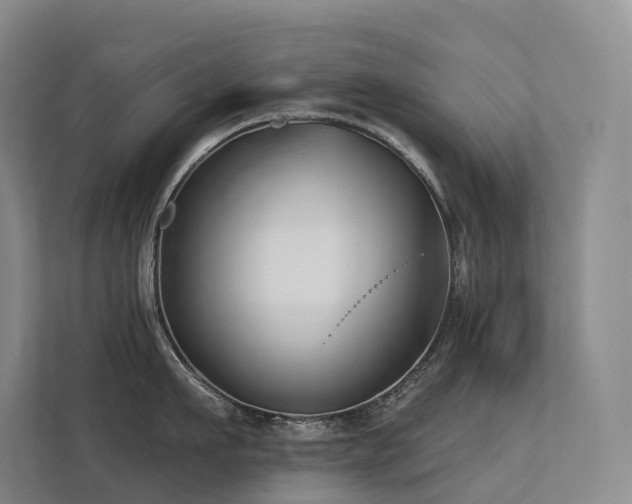 X0000113200911200909101109