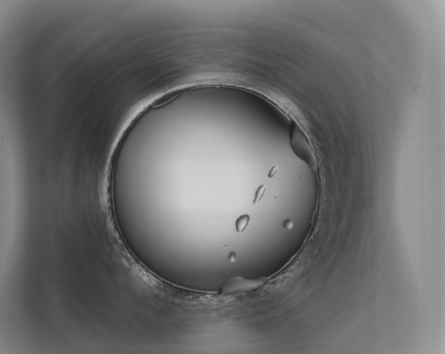 X0000113200912200909101109