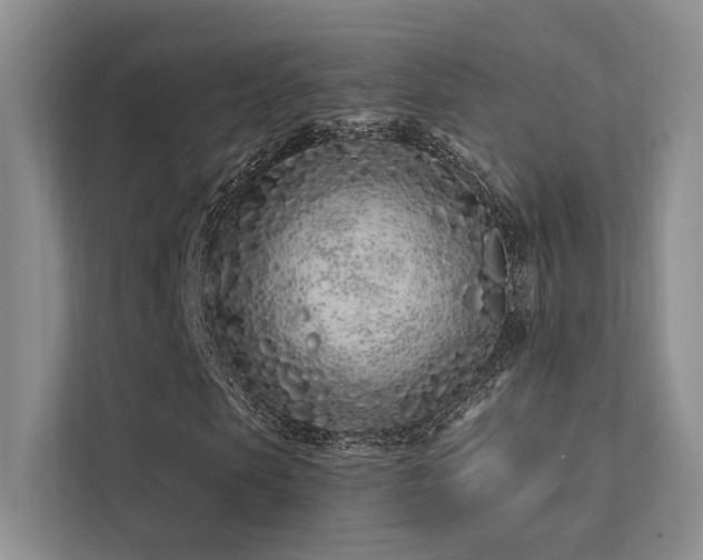 X0000113200913200909101109