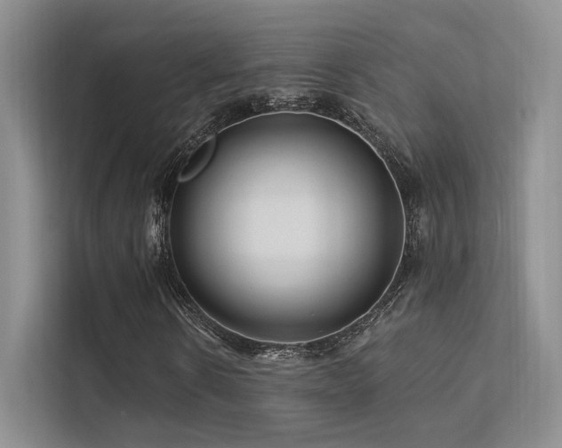 X0000113200914200909101109