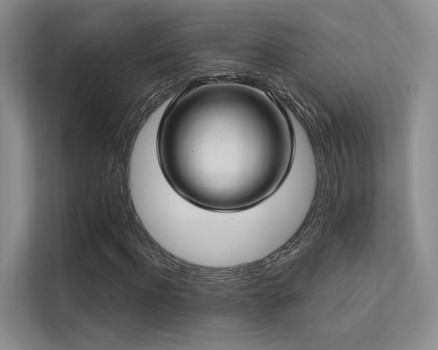 X0000113200916200909101109