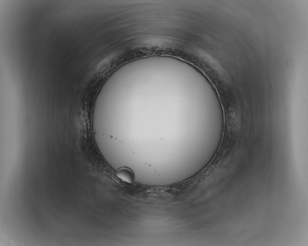 X0000113200918200909101109