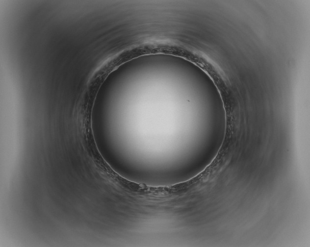 X0000113200919200909101109