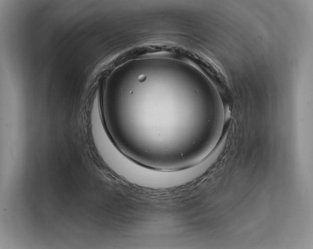 X0000113200920200909101109