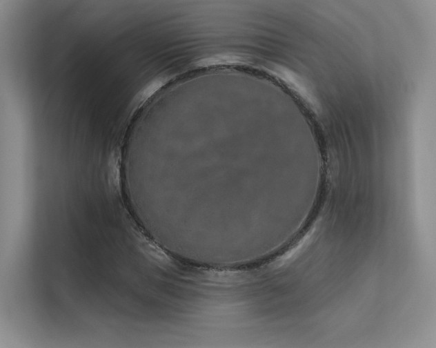 X0000113200921200909101109