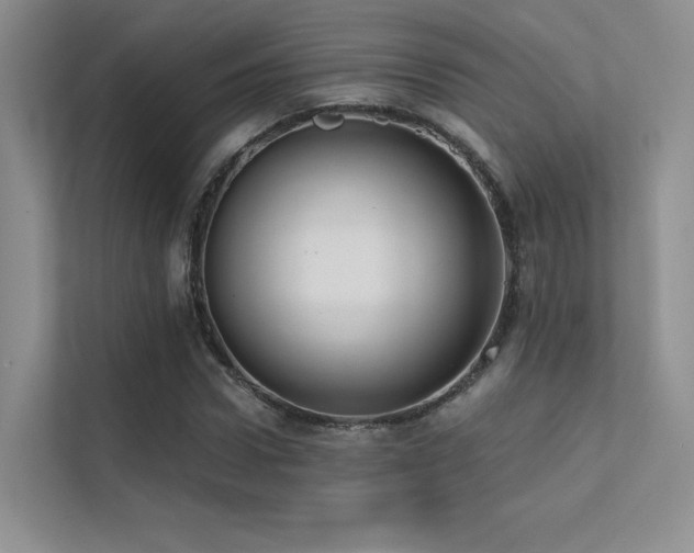 X0000113200922200909101109