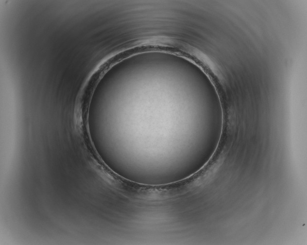 X0000113200923200909101109