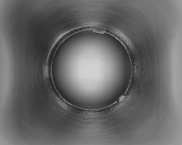 X0000113200924200909101109