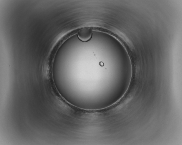 X0000113200926200909101109