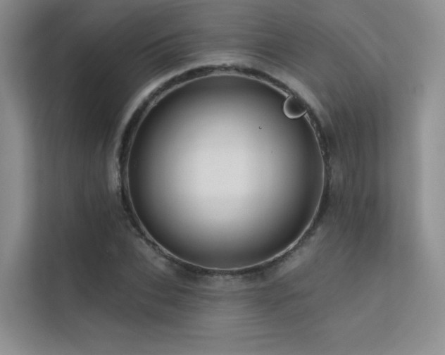 X0000113200927200909101109