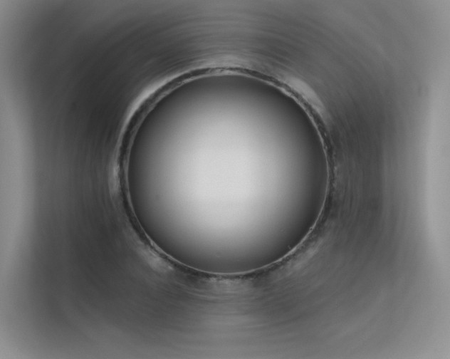 X0000113200928200909101109